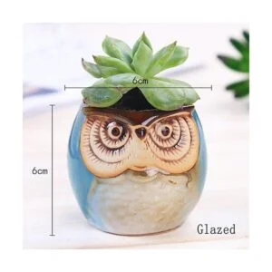 ROSE CREATE pequeñas macetas de 2.5 6.35 cm en forma