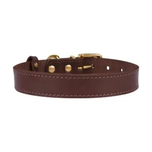 BronzeDog Collar de cuero para perro con hebilla duradera