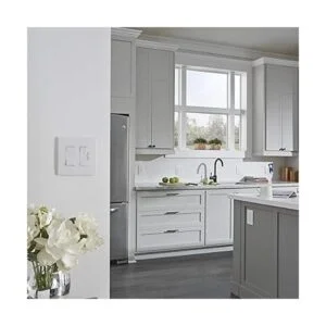 Legrand Interruptor de luz de atenuación radiante 700 W_6