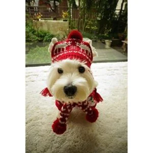 Alemon Accesorios de disfraz de Navidad para mascotas de_2