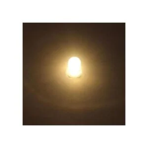 GutReise 10 bombillas LED de 3 V con rosca E10 10 bases_3