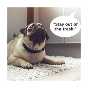 SierraTeck Reproductor de voz activado por movimiento_5