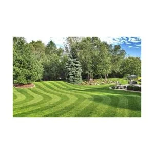 Edward Tools Herramienta de deshierbe base de metal que_3