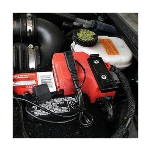 BatteryMINder 1215C Cargador mantenedor desulfador para_2