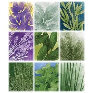 Juego de herbácea de Pencil First Games_4