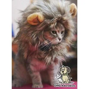 Disfraz de melena de león para gato