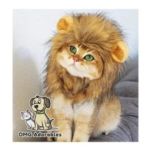 Disfraz de melena de león para gato
