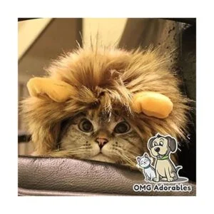 Disfraz de melena de león para gato