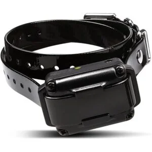 Dogtra IQ Plus Collar de entrenamiento remoto para 1