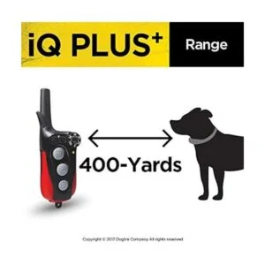 Dogtra IQ Plus Collar de entrenamiento remoto para 1