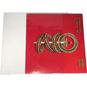 100 12 Record mangas exterior resellable mangas_3