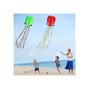 Hengda kite Pack 2 Colors Beautiful Large Easy Flyer Kite_4