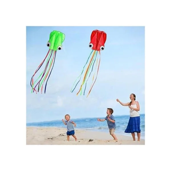 Hengda kite Pack 2 Colors Beautiful Large Easy Flyer Kite_4