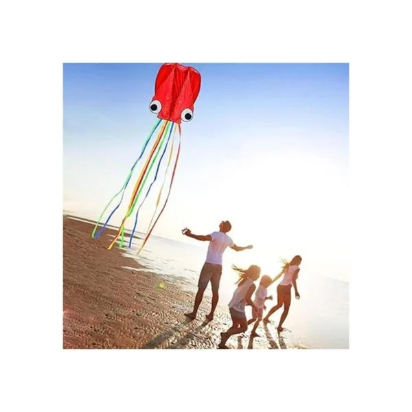 Hengda kite Pack 2 Colors Beautiful Large Easy Flyer Kite_5
