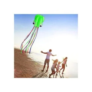 Hengda kite Pack 2 Colors Beautiful Large Easy Flyer Kite_6