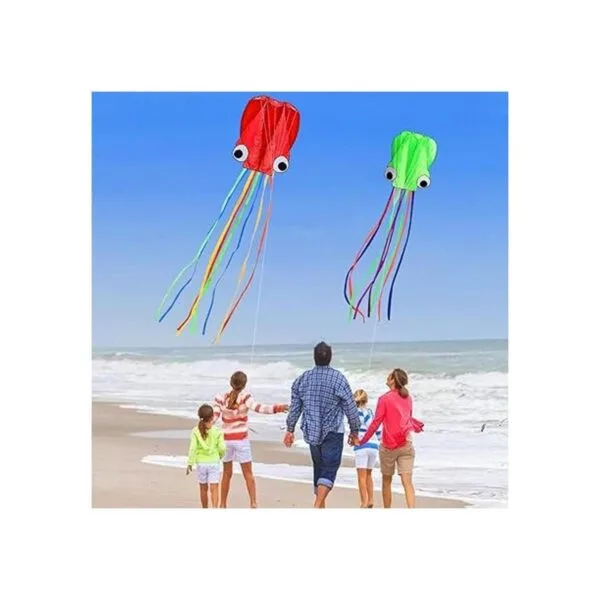 Hengda kite Pack 2 Colors Beautiful Large Easy Flyer Kite_3