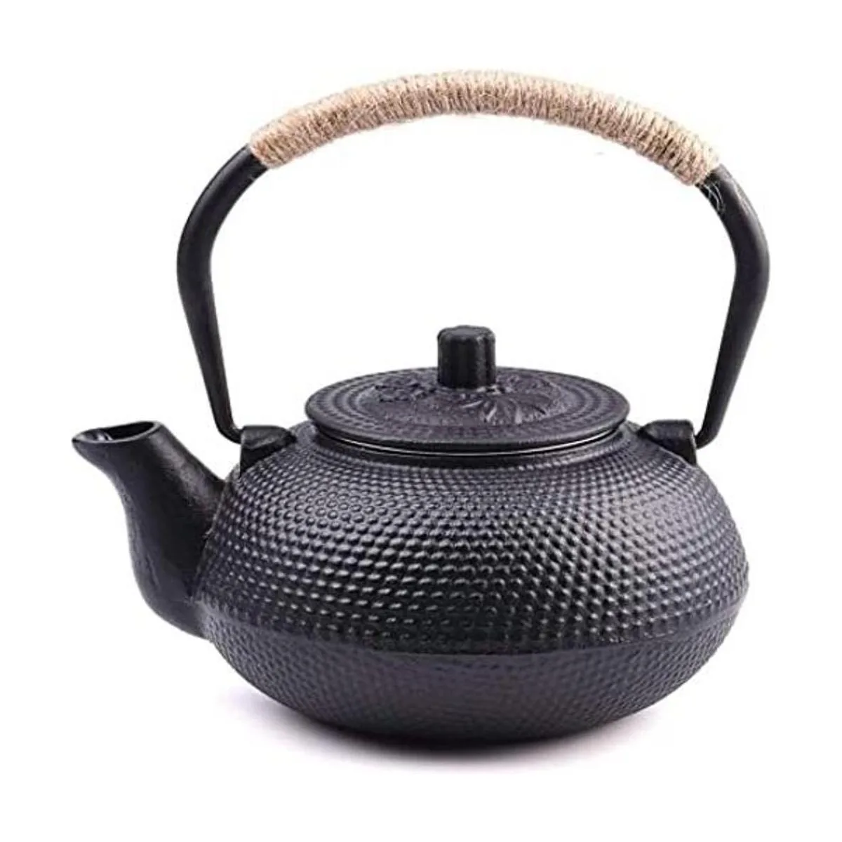 TOWA Workshop Tetsubin Tetera de hierro fundido con_1