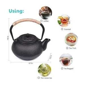 TOWA Workshop Tetsubin Tetera de hierro fundido con_5