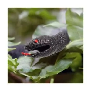 Fun Central AZ988 serpiente de goma color verde jardín_2