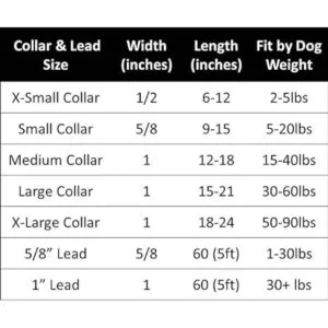 The Worthy Dog Collar de perro a cuadros bias collar_2