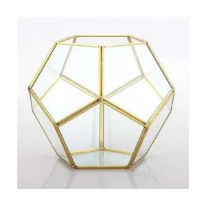 Terrario geométrico de vidrio en dodecaedro y pentágono_4