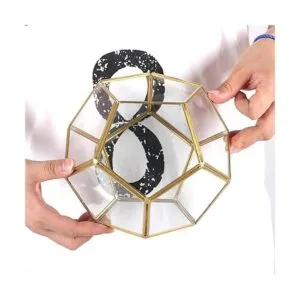 Terrario geométrico de vidrio en dodecaedro y pentágono_6