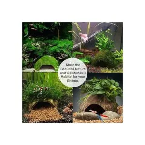 SunGrow Cueva de camarones de acuario de coco accesorios_4