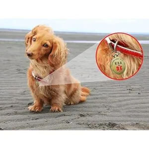 K9King Símbolo de alerta médica rojo de doble cara con_3