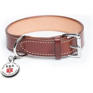 K9King Símbolo de alerta médica rojo de doble cara con_5