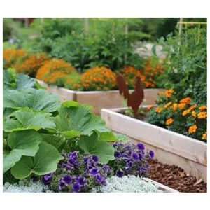 Barrera de tela para hierbas de alta calidad 5 onzas de_5