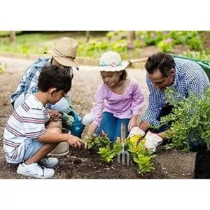 Acero inoxidable 3 piezas Jardín Juego de herramientas de_3