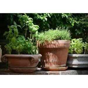 Acero inoxidable 3 piezas Jardín Juego de herramientas de_5