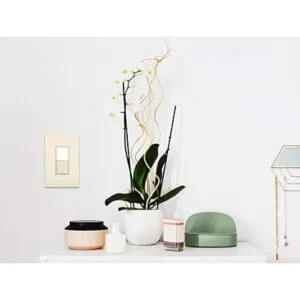 Legrand Luz nocturna radiante 3 vías de 15 amperios_4