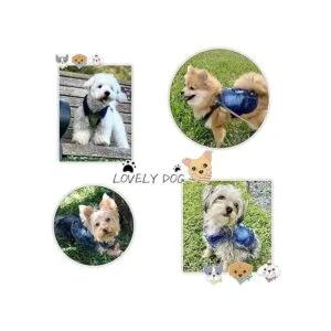 SILD Chaleco de mezclilla de color azul para perros_6