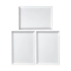 Avant Bandeja de plástico de 15 x 10 pulgadas perfecta_6