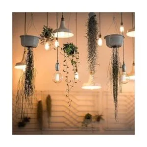 FEIT ELECTRIC BPT1040827LED Lámpara LED regulable de 40_4