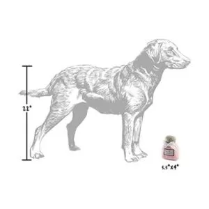 Haute Diggity Dog Fashion Hound Collection Juguetes_4