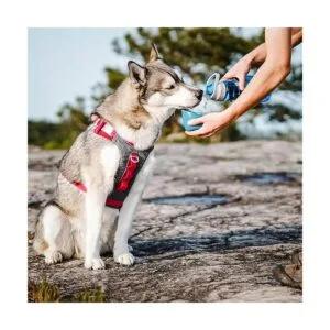 Kurgo Gourd 2 en 1 botella de agua de viaje para perros_4