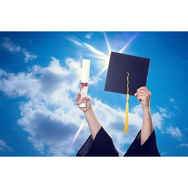 Tassel Toppers Mean Girls Movie Cita Grad Cap Decorado_4