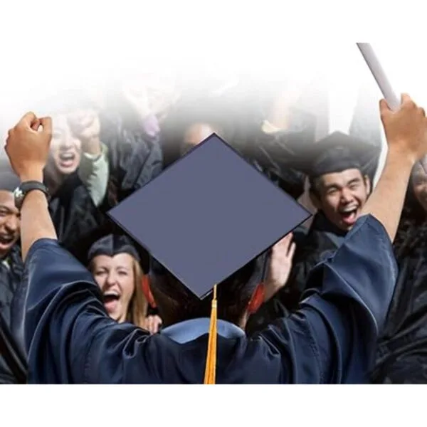 Tassel Toppers Mean Girls Movie Cita Grad Cap Decorado_3