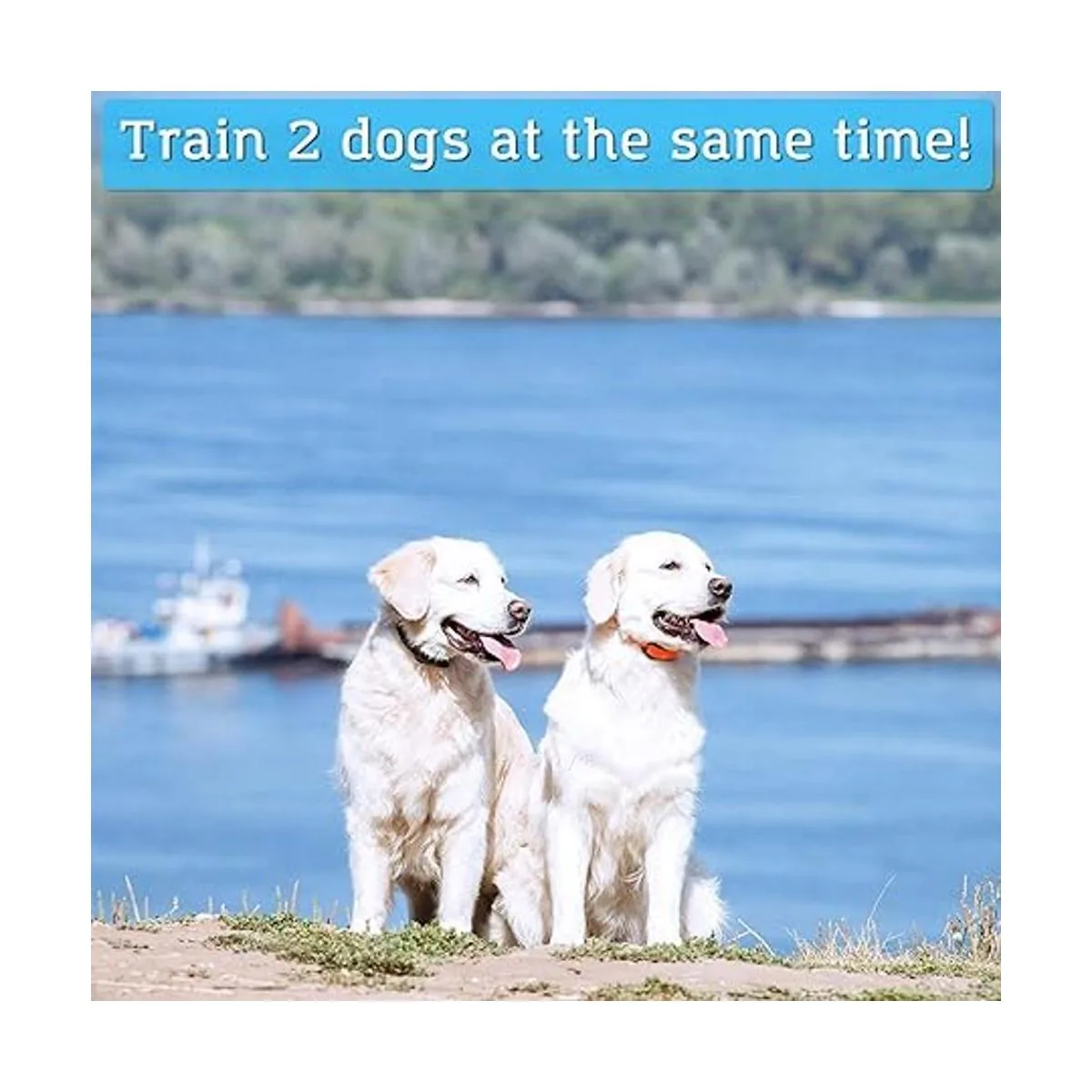 PetSpy collar de choque de entrenamiento de perro doble_2