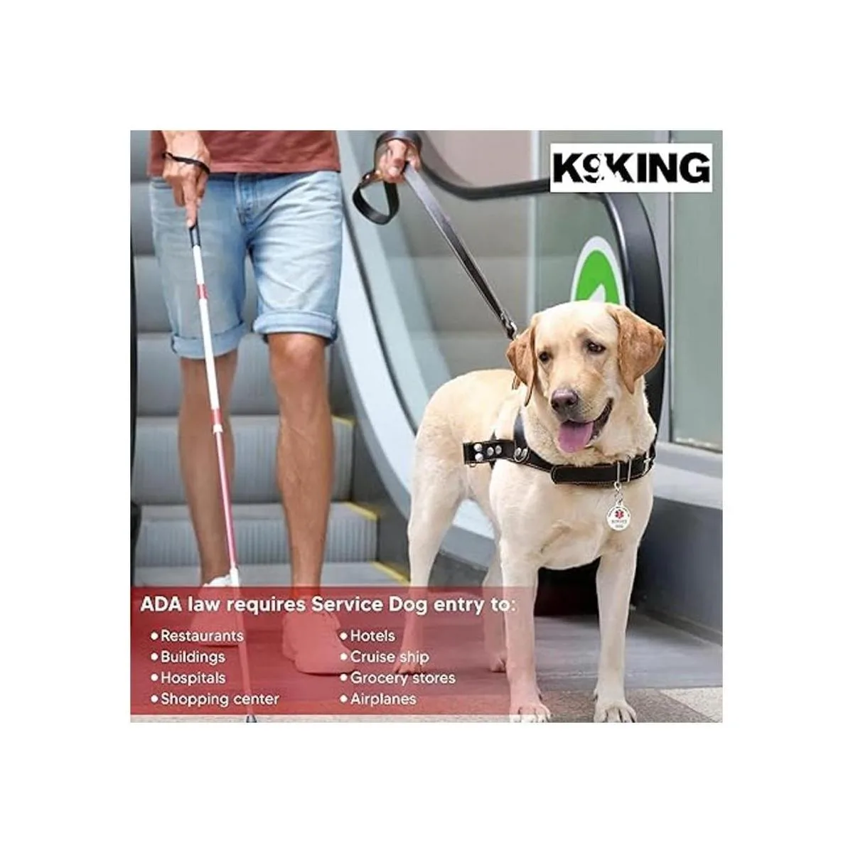 K9King Etiqueta de perro de servicio de doble cara con_4