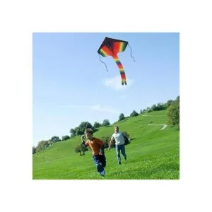 SINGARE Paquete de 2 cometas de delta arco iris cometas_4