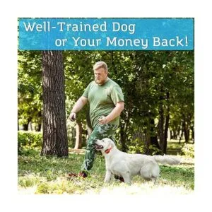 PetSpy collar de choque de entrenamiento de perro doble_4