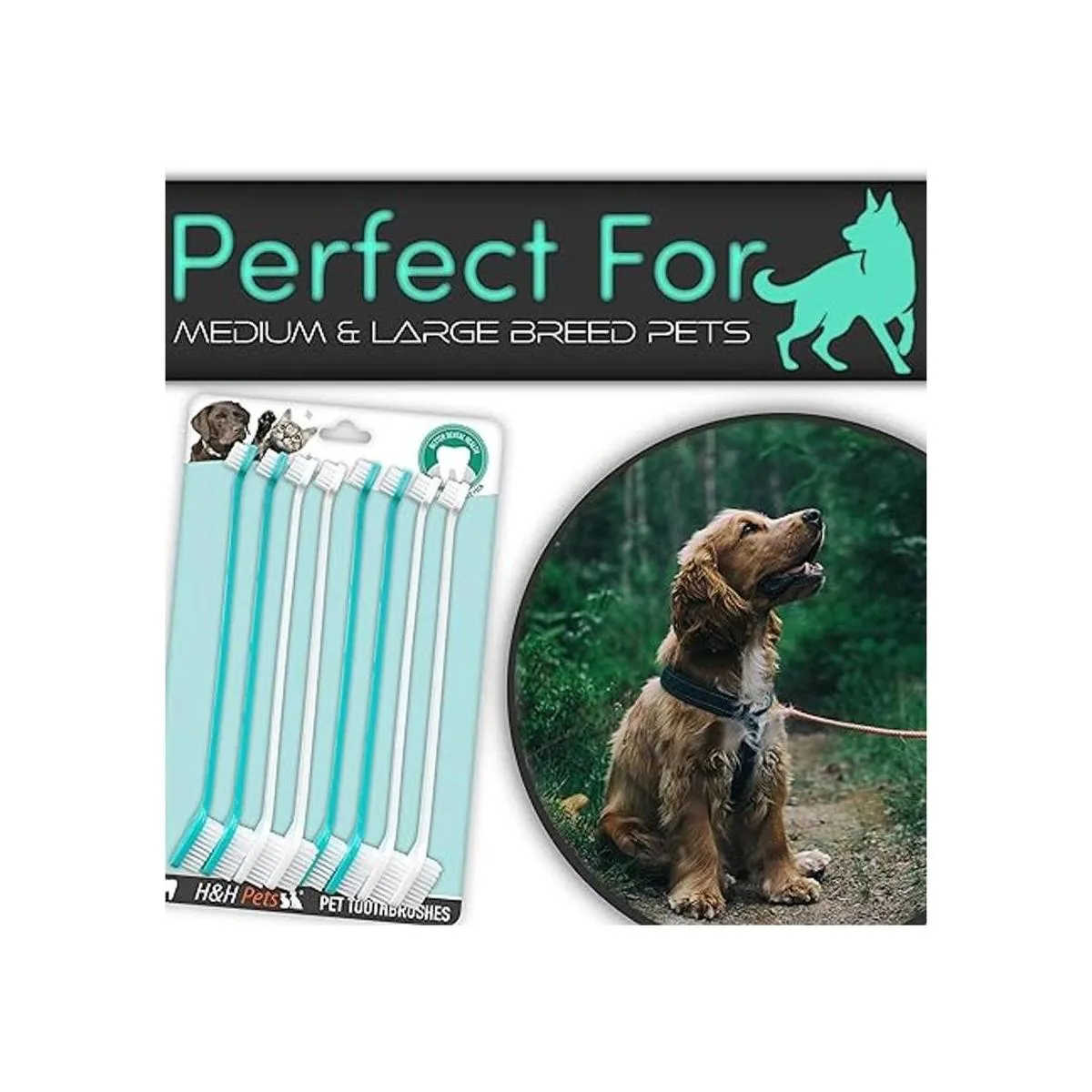 HH Pets Cepillos de dientes para perros de grande a_7