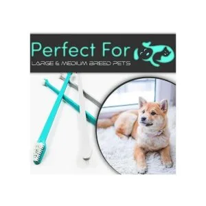 HH Pets Cepillos de dientes para perros de grande a_3