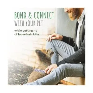 Small Pet Select Peine Buster para perros gatos y_5