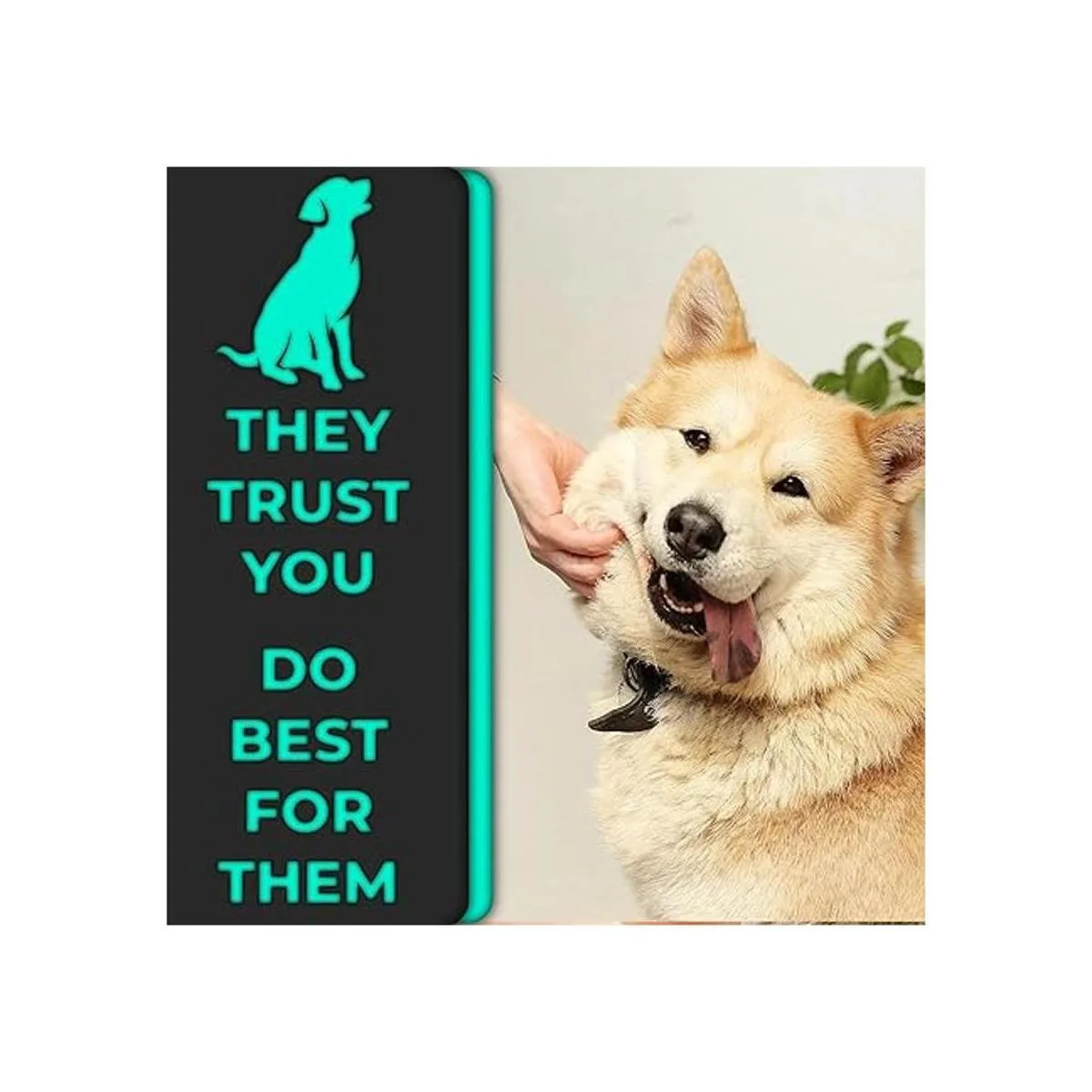 HH Pets Cepillos de dientes para perros de grande a_6