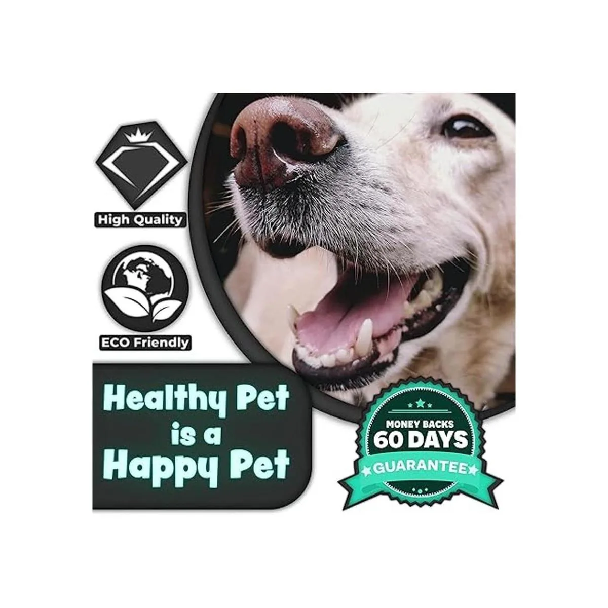 HH Pets Cepillos de dientes para perros de grande a_5