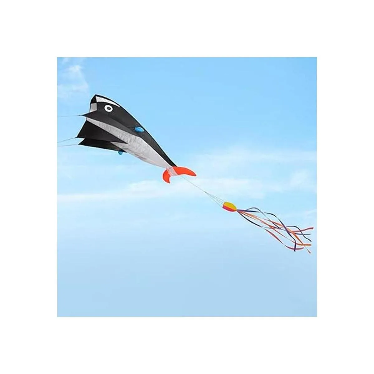 IMAGE 3D Kite Cometas de playa grandes con diseño de_3